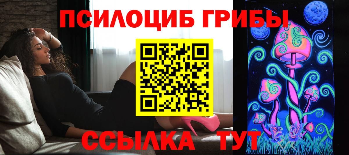 Псилоцибиновые грибы GOLDEN TEACHER  Псилоцибиновые грибы MAGIC MUSHROOMS  Вход с VPN  Ишим 